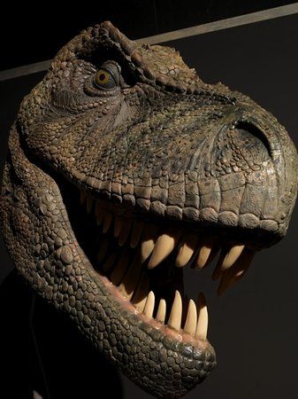 Dinosaurs Unleashed London O2